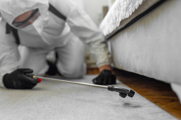 Professional Bed Bug Control technician working in Rush County County, IN